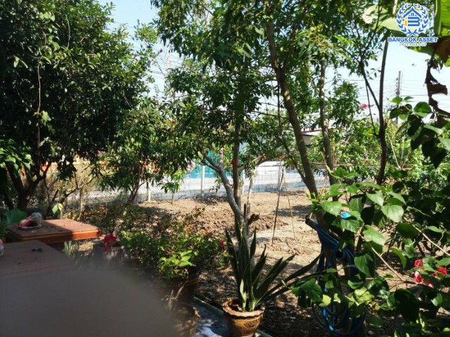 *****บ้านเดี่ยวมือสองย่านนนทบุรี ม.บ้านสวนซอยวัดลาดปลาดุก กาญจนาภิเษก หลังมุม! เนื้อที่กว้างขวางถึง 114.2 ตร.ว. ฟังก์ชัน 3 ห้องนอน 2 ห้องน้ำ 2 ที่จอดรถ  บ้านสวน ต้นไม้เยอะร่มรื่น ใกล้ชุมชน บนทำเลศักยภาพ ใกล้รถไฟฟ้าสายสีม่วง "สถานีคลองบางไผ่"